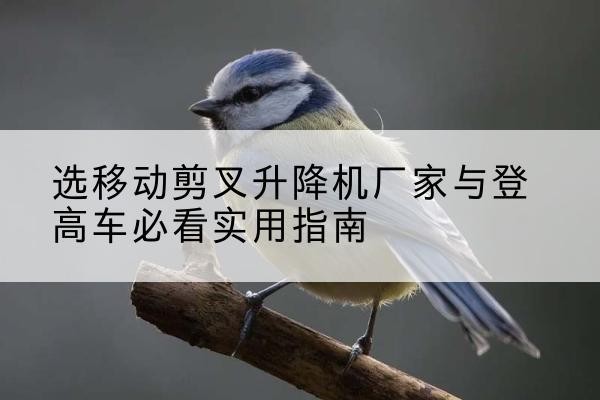福山电动升降机厂家-选移动剪叉升降机厂家与登高车必看实用指南