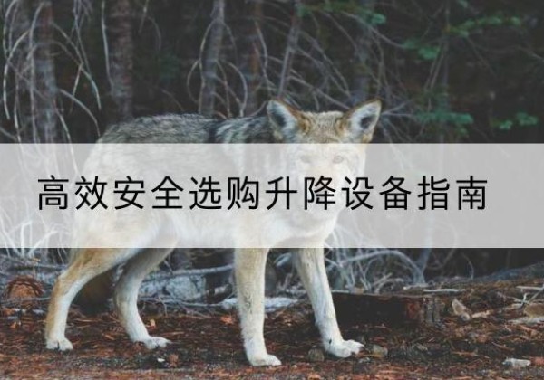 福山升降货梯厂家推荐-*安全选购升降设备指南
